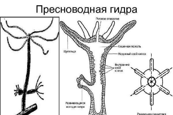 Магазин kraken даркнет